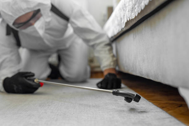 Professional Bed Bug Control technician working in Chesapeake city County, VA